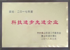 科技進步先進企業